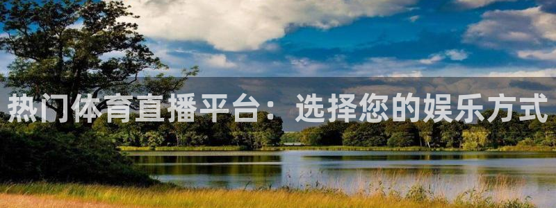 热门体育直播平台：选择您的娱乐方式