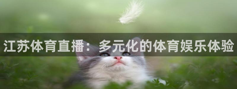 江苏体育直播：多元化的体育娱乐体验