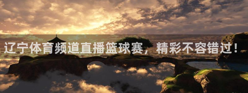 辽宁体育频道直播篮球赛，精彩不容错过！