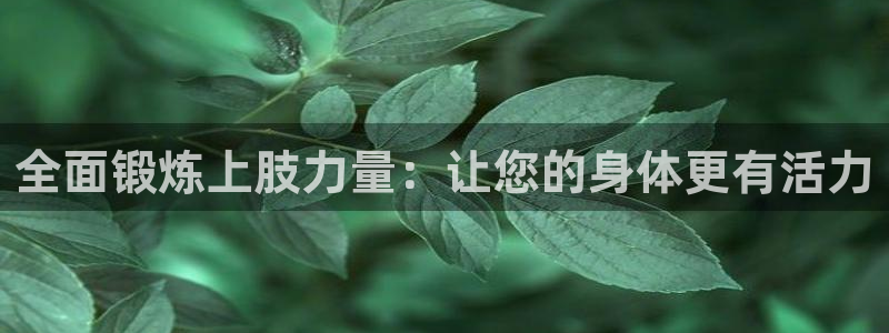 全面锻炼上肢力量：让您的身体更有活力