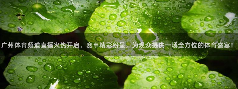 广州体育频道直播火热开启，赛事精彩纷呈，为观众提供一场全方位的体育盛宴！
