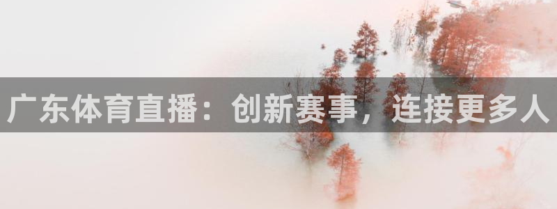 广东体育直播：创新赛事，连接更多人