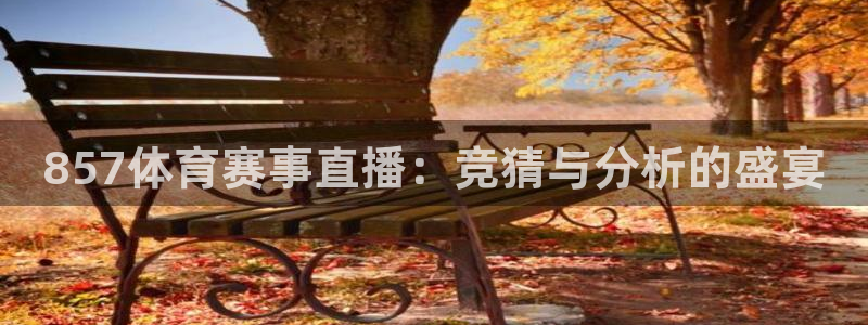 857体育赛事直播：竞猜与分析的盛宴
