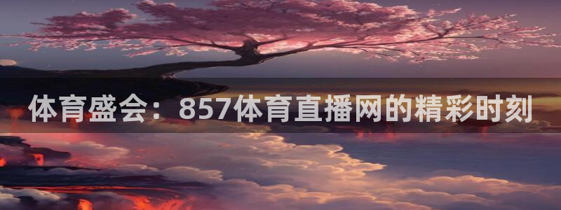 体育盛会：857体育直播网的精彩时刻